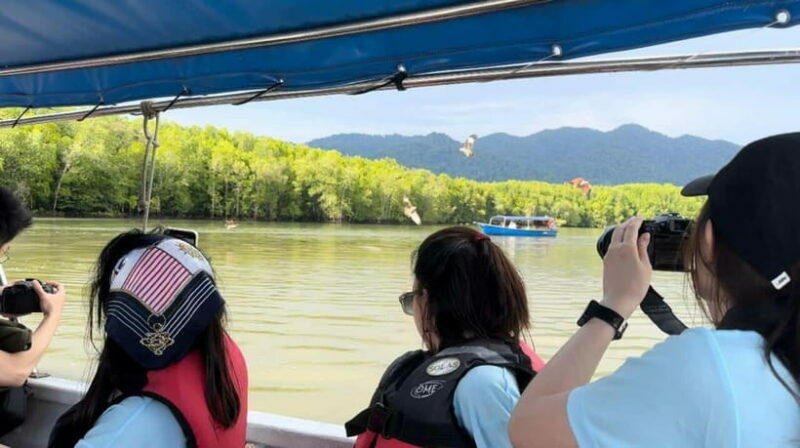 Langkawi Mangrove Monkey Package - The Authenticity and Realistic Expectations