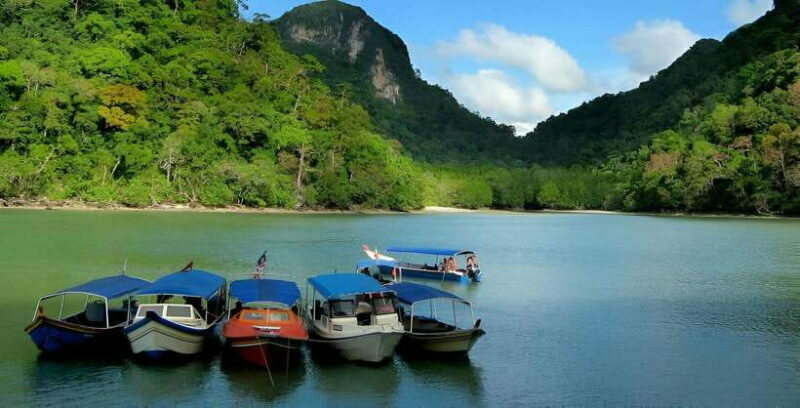 Langkawi: Mangrove Tour with Kilim Geoforest Park & Bat Cave - Exploring Langkawi’s Mangrove Ecosystem: A Complete Review of the Kilim Geoforest Park Tour