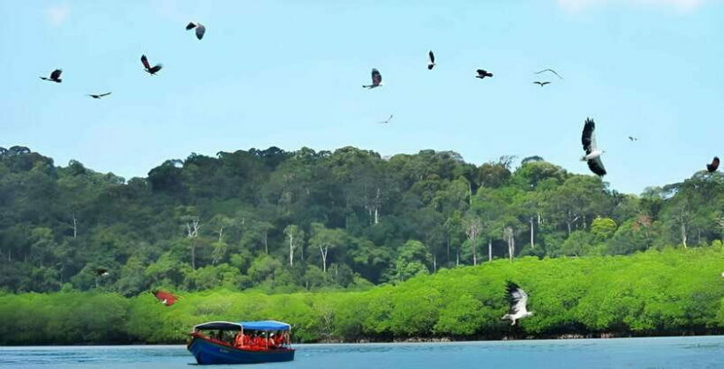 Langkawi: Mangrove Tour with Kilim Geoforest Park & Bat Cave - The Practical Side: Logistics and Value