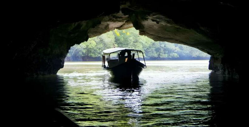 Langkawi: Mangrove Tour with Kilim Geoforest Park & Bat Cave - What Reviewers Say
