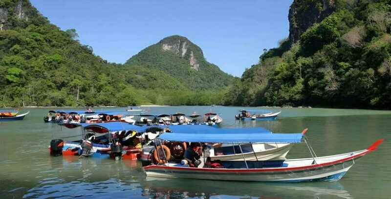 Langkawi: Mangrove Tour with Kilim Geoforest Park & Bat Cave - Final Thoughts: Who Should Book This Tour?
