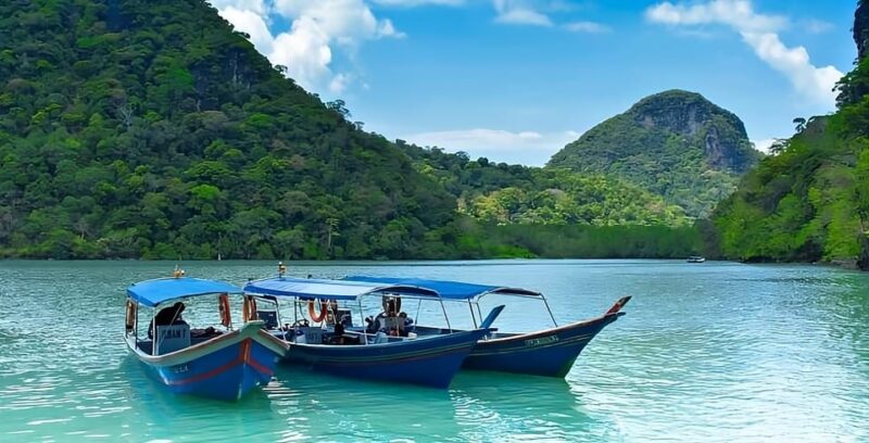 Langkawi: Mangrove Tours With Options - Wildlife Encounters