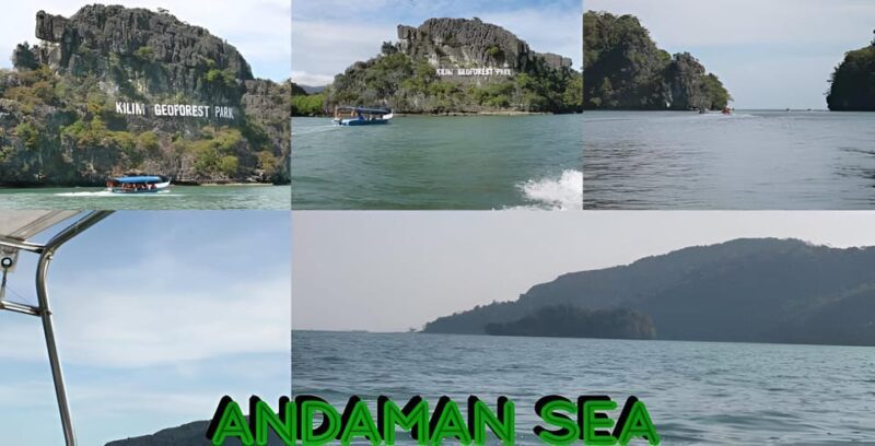 Langkawi: Mangrove Tours With Options - Marine Life Experiences