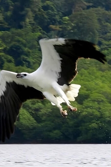 Langkawi: Mangrove Tours With Options - Tour Options and Inclusions