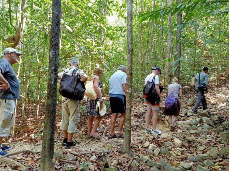Langkawi: Morning Rainforest Walking Tour - Experience Highlights