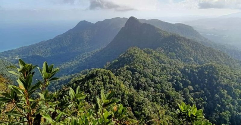 Langkawi: Mount Matchinchang Hiking Tour - Key Points