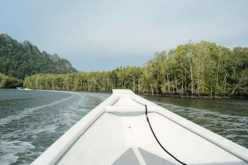 Langkawi: Private 2-Hour Mangrove Tour with Hotel Transfer - Key Points