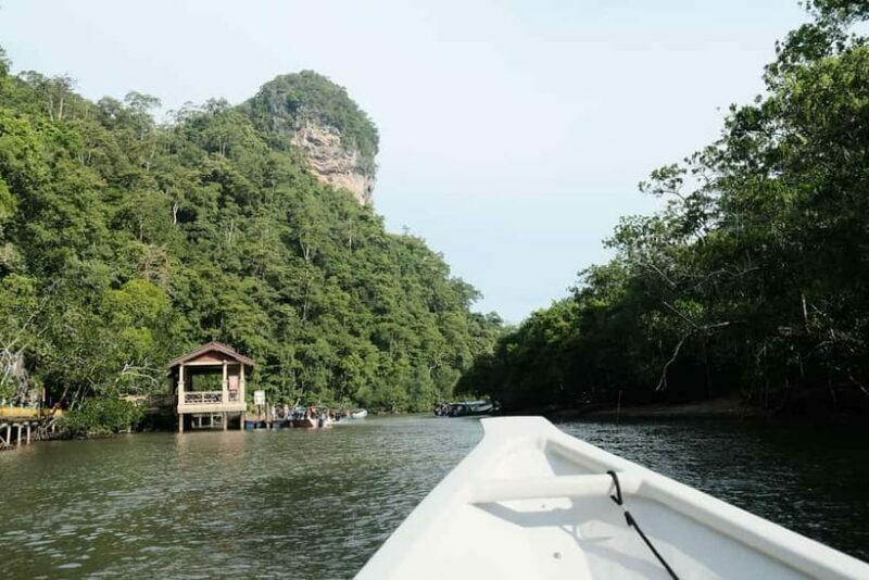 Langkawi: Private 2-Hour Mangrove Tour with Hotel Transfer - Who Is This Tour Best For?