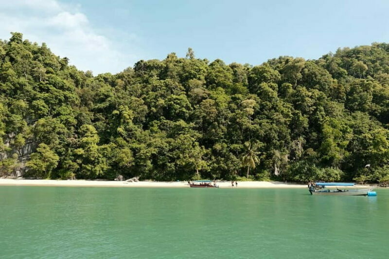 Langkawi: Private 2-Hour Mangrove Tour with Hotel Transfer - Final Thoughts