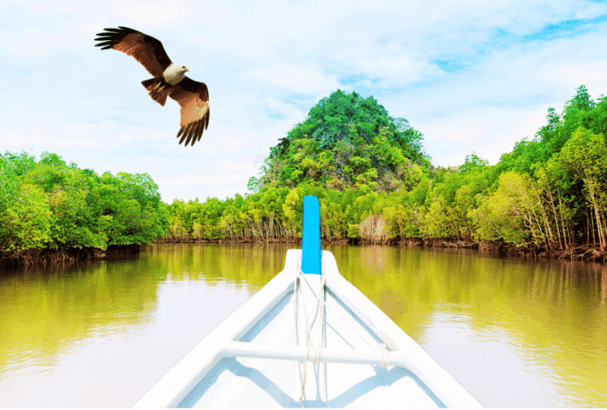Langkawi: Private Car Island Tour - Customer Reviews
