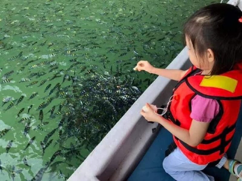 Langkawi: Pulau Dangli Snorkeling Adventure - Guide and Language Availability
