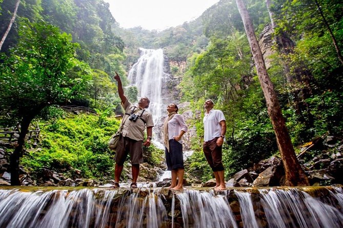 Langkawi Rainforest Jungle Trekking Tour With Private Pickup - Key Points