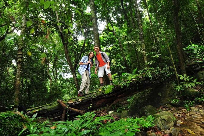 Langkawi Rainforest Jungle Trekking Tour With Private Pickup - Cancellation and Confirmation