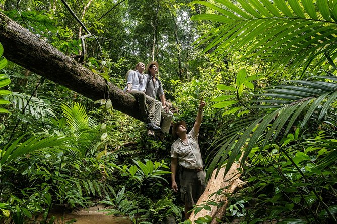 Langkawi Rainforest Jungle Trekking Tour With Private Pickup - Customer Feedback