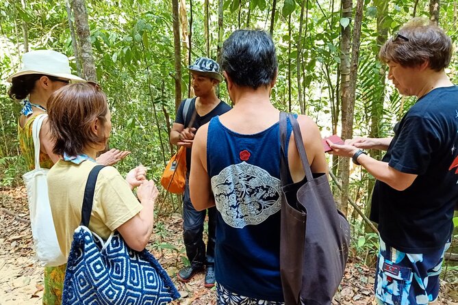 Langkawi Rainforest Jungle Trekking Tour With Private Pickup - Wildlife Viewing Opportunities