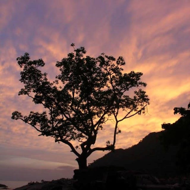Langkawi: Rainforest Tour Afterdark - Inclusions