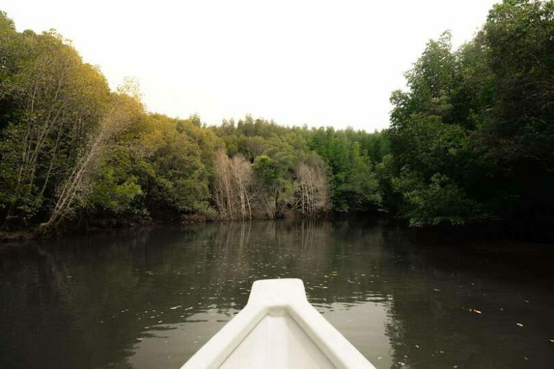 Langkawi Royal Mangrove Tour with Snorkeling Package - The Sum Up