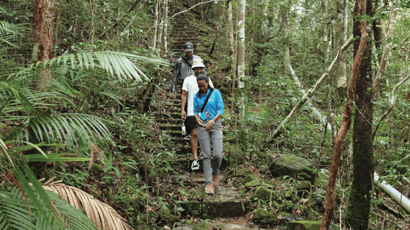 Langkawi SkyTrail Hiking and Cable Car Experience - Overview and Pricing