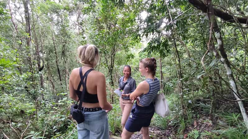 Langkawi SkyTrail Hiking and Cable Car Experience - Knowledgeable Naturalist Guides