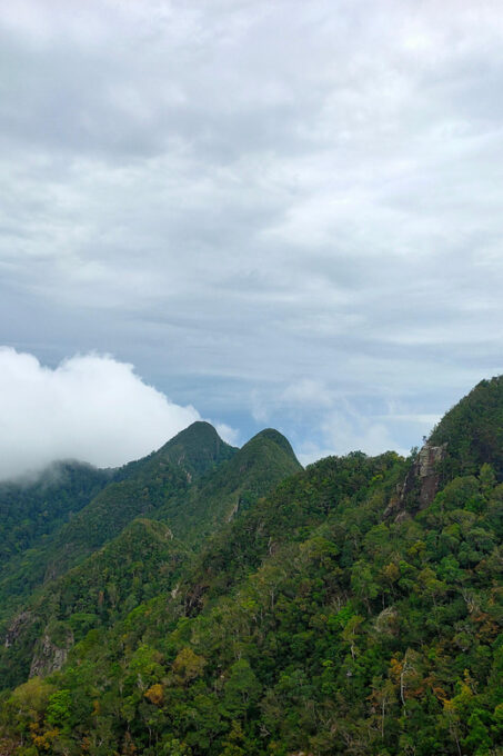 Langkawi SkyTrail Hiking and Cable Car Experience - Attractions and Experiences