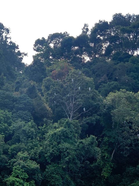 Langkawi: Southern Island Geopark Tour - Swim in Pregnant Maiden Lake