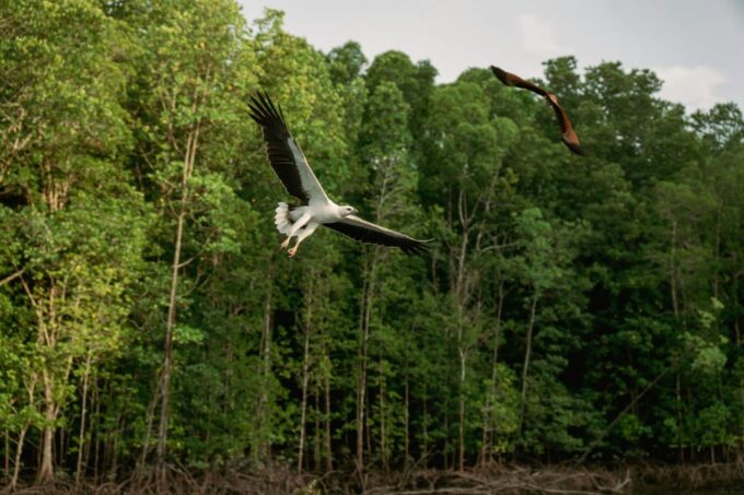 Langkawi: Tanjung Rhu Mangrove Speedboat Tour - Getting to Tanjung Rhu