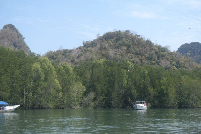 Langkawi UNESCO Global Geopark Mangrove Cruise - Weather Conditions