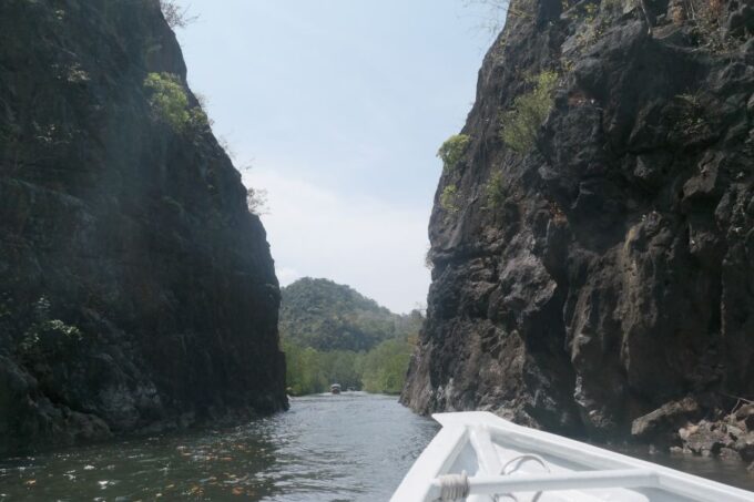 Langkawi UNESCO Global Geopark Mangrove Cruise - Encountering Wildlife