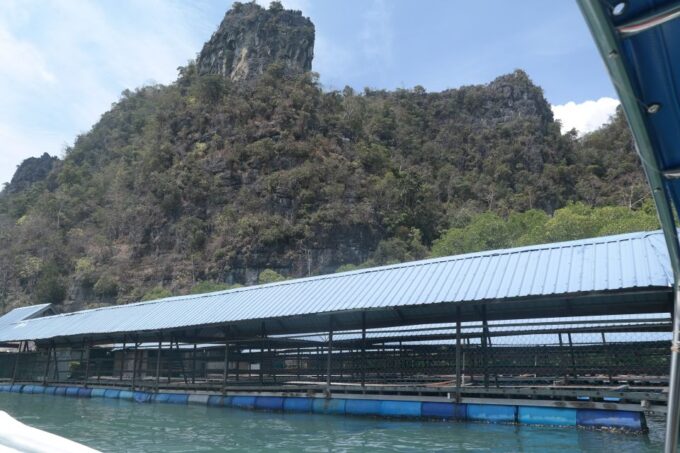 Langkawi UNESCO Global Geopark Mangrove Cruise - Frequently Asked Questions