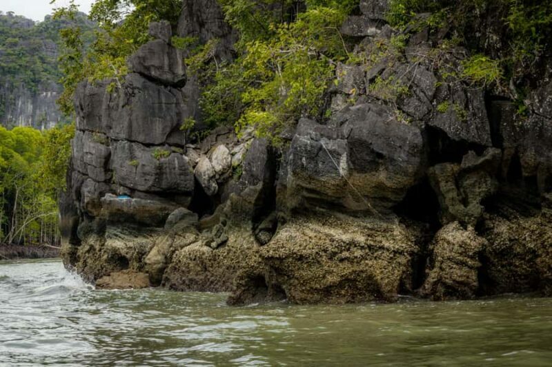 Langkawi:6 Hours Mangrove Night Safari with Pick Up & Dinner - Analyzing the Cost and Value