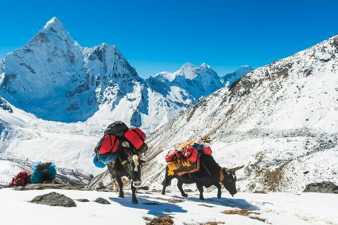 Langtang Trek from Kathmandu 7 Days - FAQs