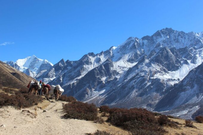 Langtang Valley Trek - 08 Days - Booking