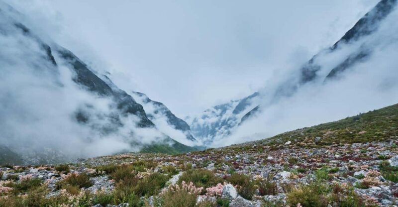 Langtang Valley Trek - Experience and Cultural Immersion