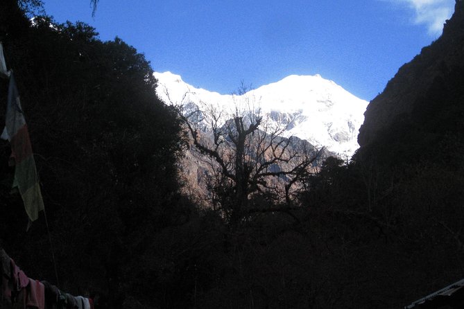 Langtang Valley Trek - Trek Rating and Provider
