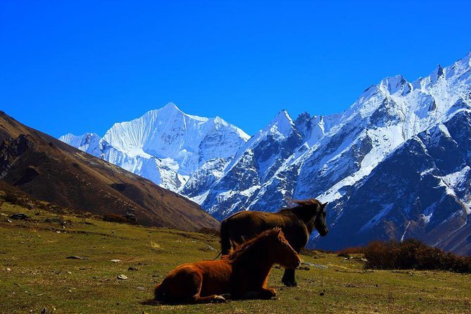 Langtang Valley Trek - Preparing for the Langtang Valley Trek