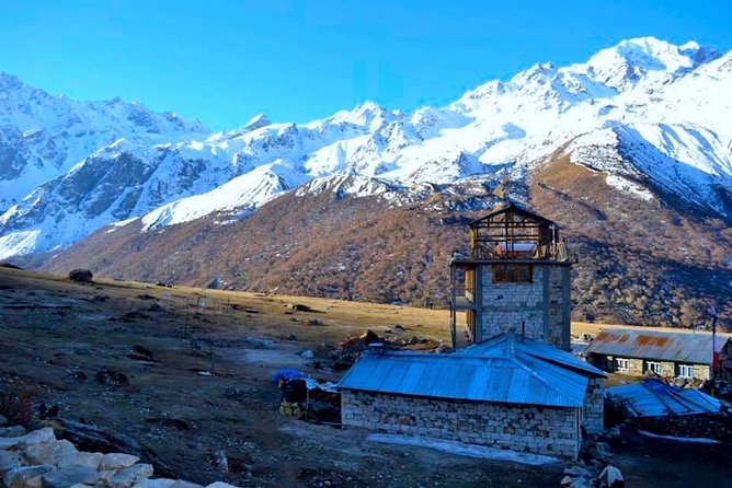 Langtang Valley Trek From Kathmandu - 8 Days - Customer Reviews