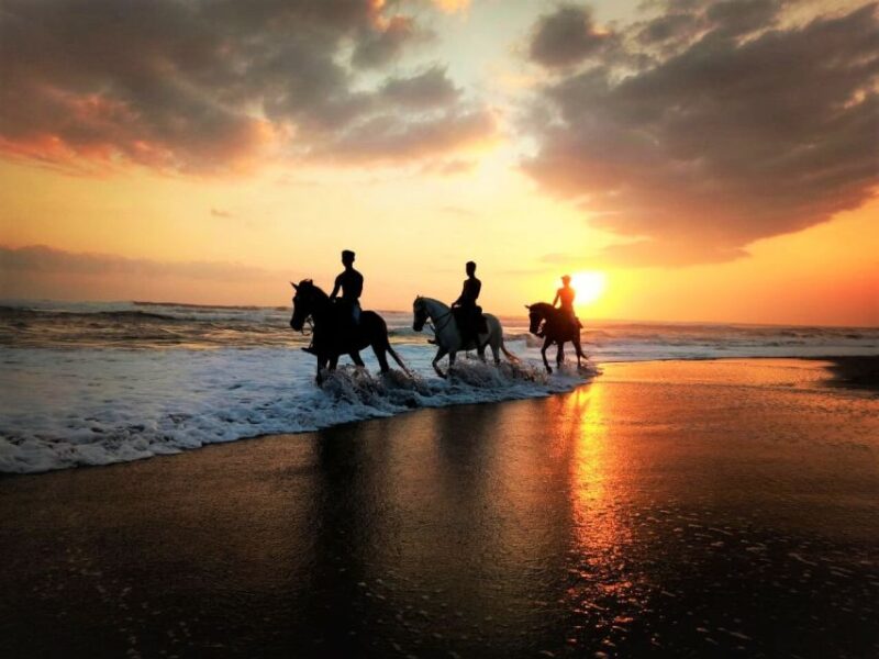 Langudu: Horse Riding on the Beach and in the Rice Fields - Itinerary and Transportation