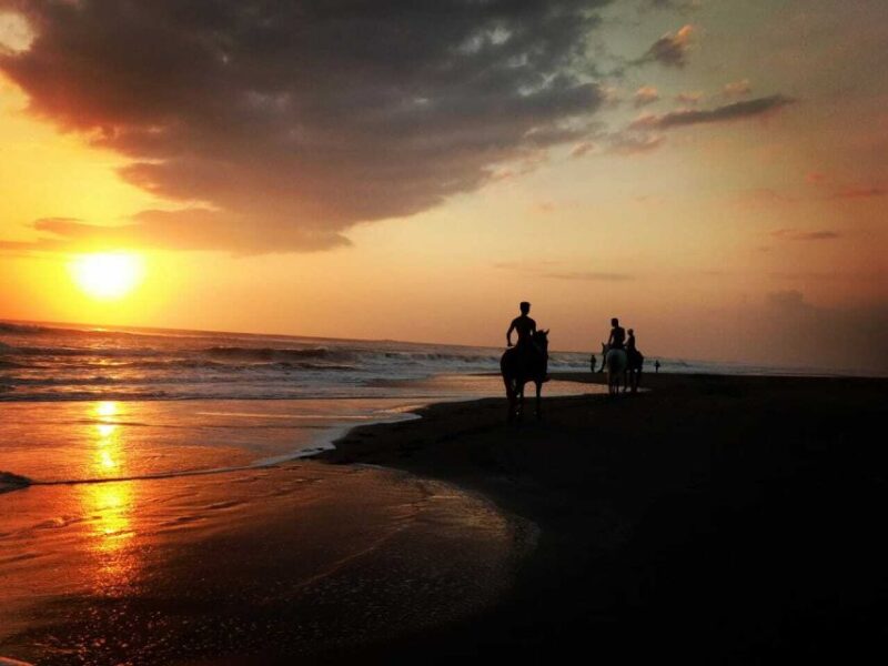 Langudu: Horse Riding on the Beach and in the Rice Fields - Safety and Requirements