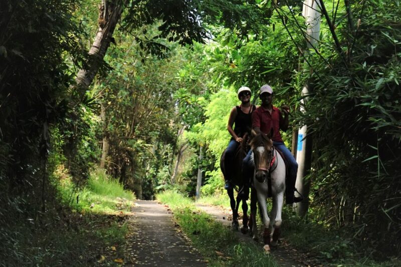 Langudu: Horse Riding on the Beach and in the Rice Fields - Customer Feedback