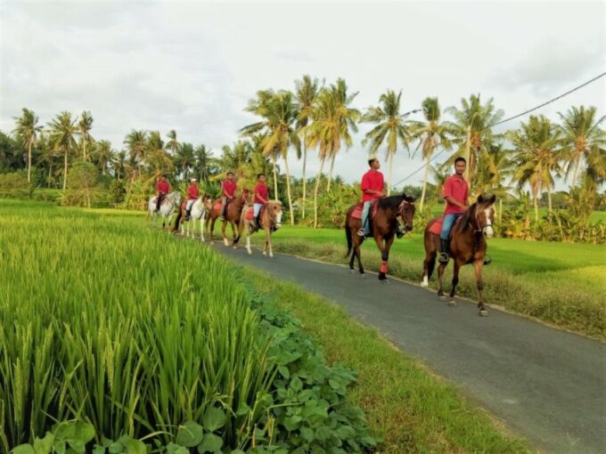 Langudu: Horse Riding on the Beach and in the Rice Fields - Rice Field Horseback Ride