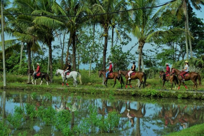 Langudu: Horse Riding on the Beach and in the Rice Fields - Pig Stone Beach Exploration