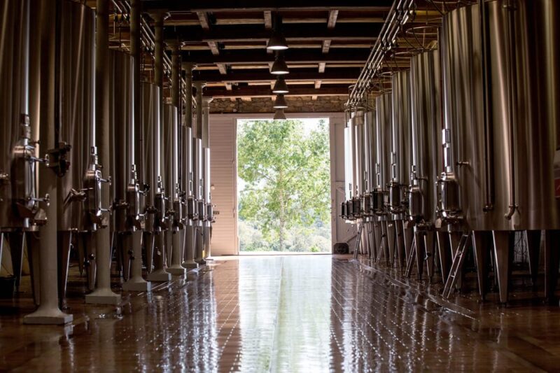 Languedoc: Heritage Tour & Tasting at Domaine De Baronarques - Exploring the Property