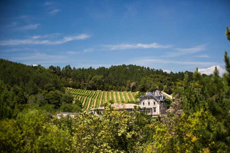 Languedoc: Heritage Tour & Tasting at Domaine De Baronarques - Historical Context