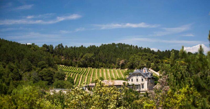 Languedoc: Heritage Tour & Tasting at Domaine De Baronarques - Vineyard Tour