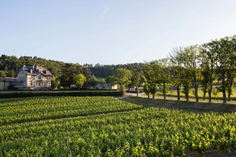 Languedoc: Tour and Tasting at Domaine De Baronarques - Guided Winery Tour