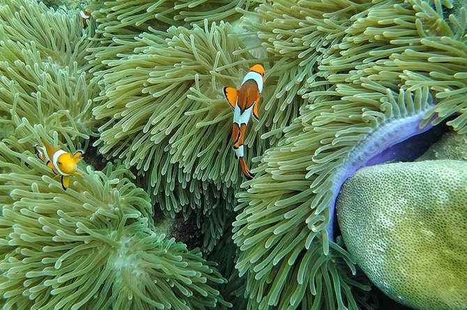 Lanta 4 Islands + Emerald Cave Snorkeling Tour - Location and Duration