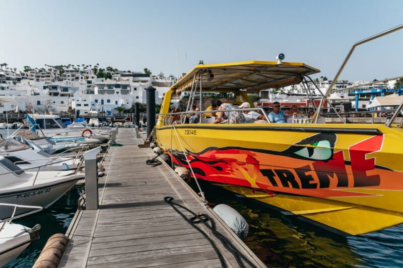 Lanzarote: 2.5-Hour Sunset and Dolphins Cruise - Key Points