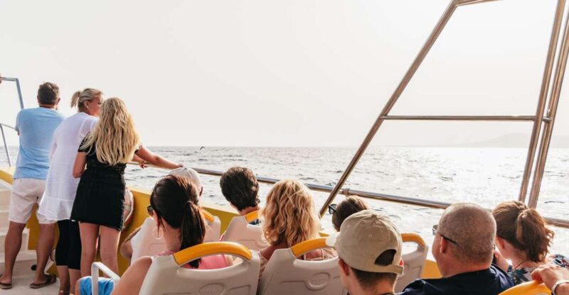 Lanzarote: 2.5-Hour Sunset and Dolphins Cruise - Languages and Availability