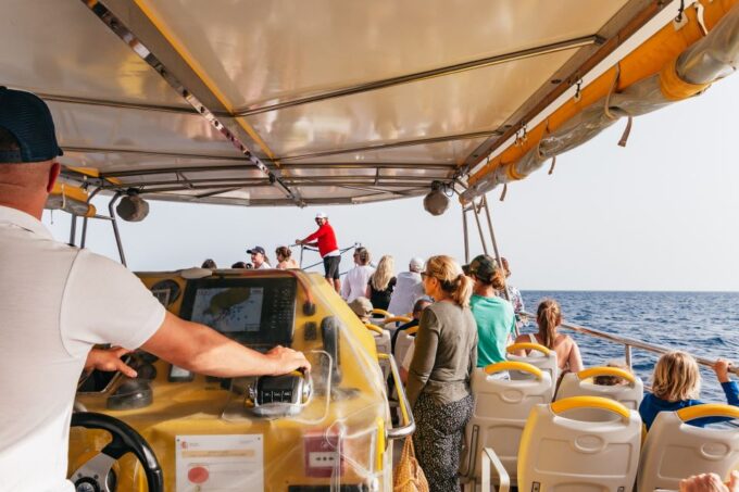 Lanzarote: 2.5-Hour Sunset and Dolphins Cruise - Wildlife Viewing
