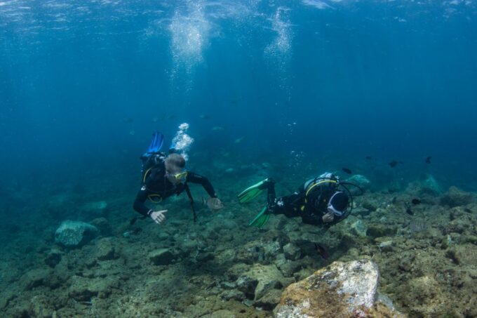 Lanzarote: 2-Dive Package in Playa Blanca - Certified Divers - Lanzarote Diving Package